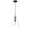 Z-Lite Harper 1 Light Pendant, Matte Black & Clear 3034P11-MB - alternate 5